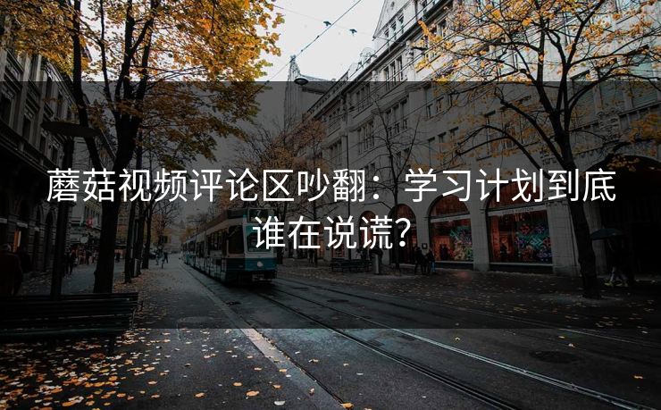 蘑菇视频评论区吵翻：学习计划到底谁在说谎？
