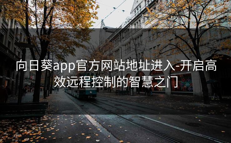 向日葵app官方网站地址进入-开启高效远程控制的智慧之门