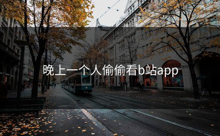 晚上一个人偷偷看b站app 晚上一个人偷偷看b站app