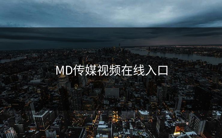 MD传媒视频在线入口