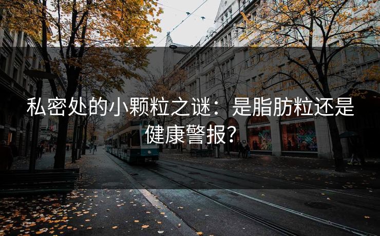 私密处的小颗粒之谜：是脂肪粒还是健康警报？