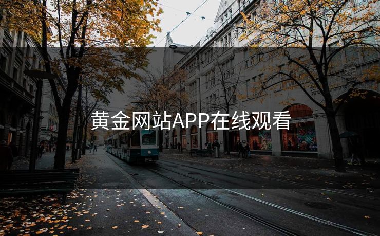 黄金网站APP在线观看