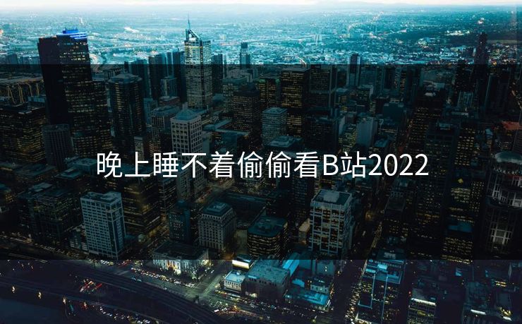 晚上睡不着偷偷看B站2022
