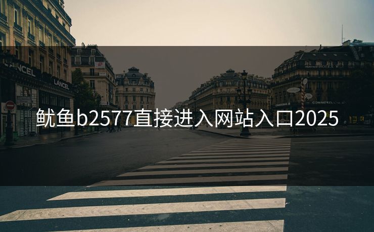 鱿鱼b2577直接进入网站入口2025 鱿鱼b2577直接进入网站入口2025